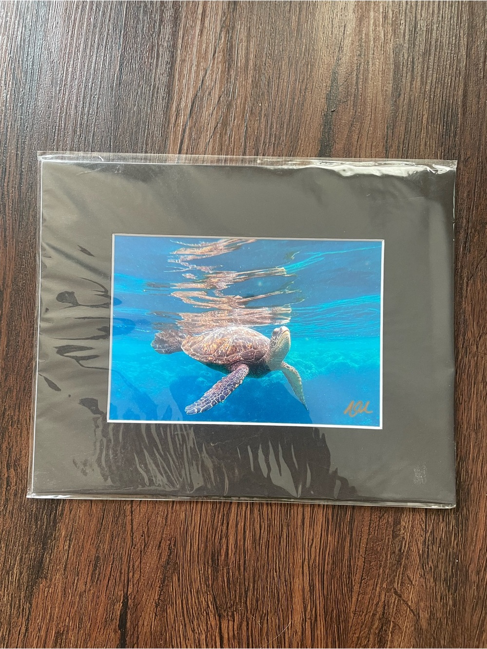 FINE ART PHOTOGRAPHY Kauai Hawaii KERRY ODA Signed NEW 10x8” Turtle